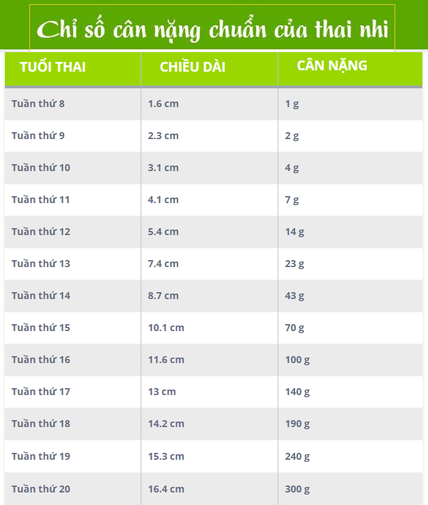 Bảng cân nặng thai nhi theo tuẩn tuổi 2017