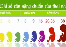 Cân nặng thai nhi theo tuần tuổi 2017
