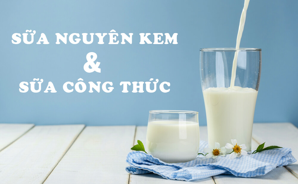 Sữa nguyên kem là gì? Sự khác biệt sữa nguyên kem và sữa công thức