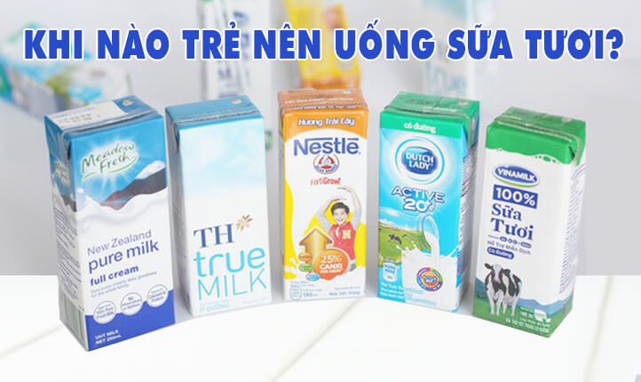 Khi nào thì cho trẻ uống SỮA TƯƠI? Uống bao nhiêu sữa tươi là đủ?