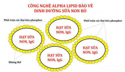 Công nghệ Alpha Lipid